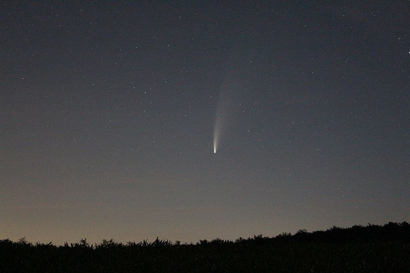 Komet NEOWISE 55mm Objektiv am 13.7.2020