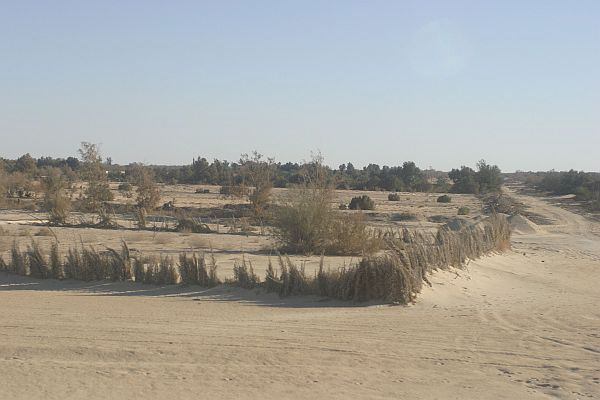 Oasis Jalu in Libya
