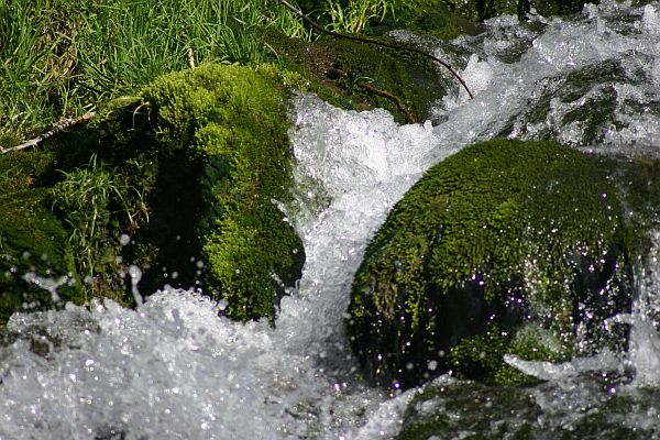 Wasser ist zum Plantschen da